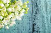 © tstock - stock.adobe.com Foto: Blumen vor blauer Holzwand